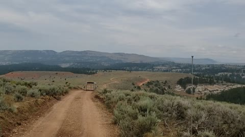 Hauling Cows Up The Mountain 3