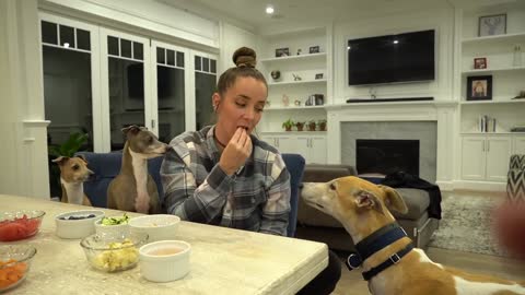 Greyhound Eats Vegetables and Fruit for the 1st Time!