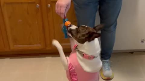 Princess walks like a human for new toy