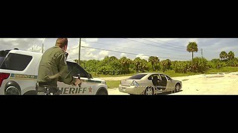 Battle for their lives: Dashcam shows ambush of Florida deputies during a traffic stop