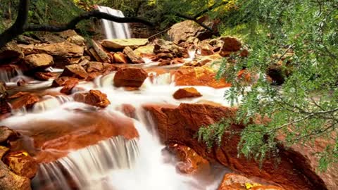 Sonidos Relajantes De La Naturaleza Para Dormir, Musica Para Dormir en 7 Minutos, Flauta Zen y Río