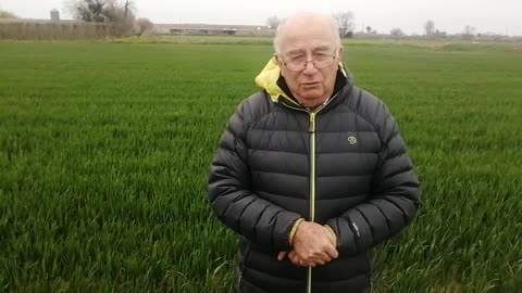 Josep Pàmies nos insta a plantar artemisa annua