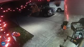 Halloween Candy Thief