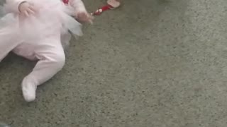 Pug Teaches Kiddo How to Crawl