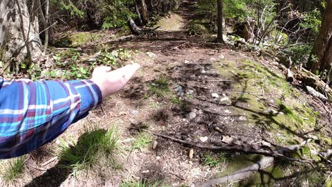 Squirrel jumping on my hand in slow motion.