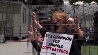 'Don't eat eggs', protesters urge at Tokyo Olympics