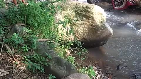 Washing Clothes in the River Together