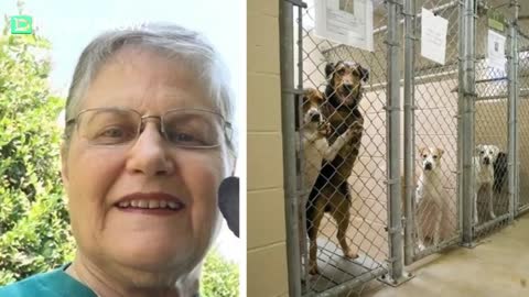 Grandma Walks into Shelter and Asks for The Oldest Dog To Adopt