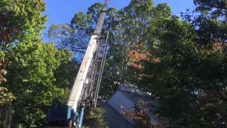 Crane Removing Tree Limb