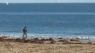 Man one wheel skateboard on beach