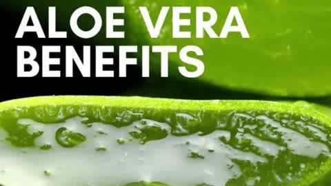 Aloe vera Benefits