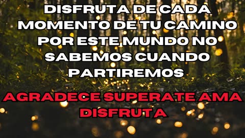 DISFRUTA