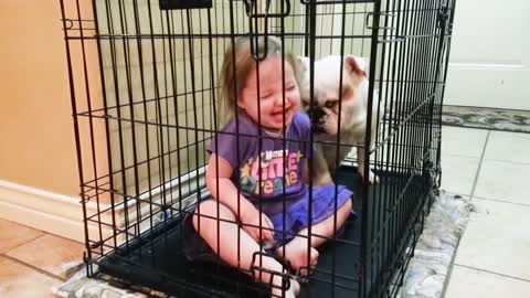 Dogs and Babies CUTE BONDING