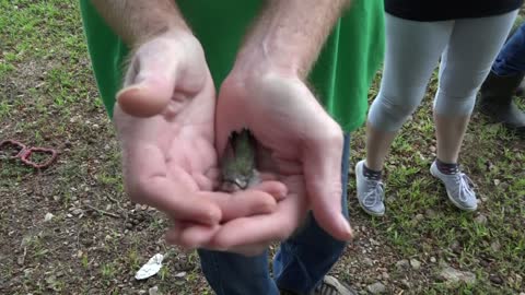 A friend with cancer helps rescue a hummingbird !