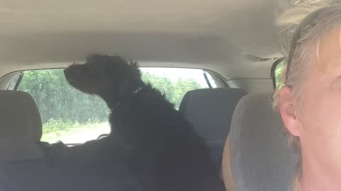 Enjoying the ride