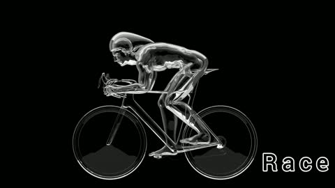 3D Bicycle Race