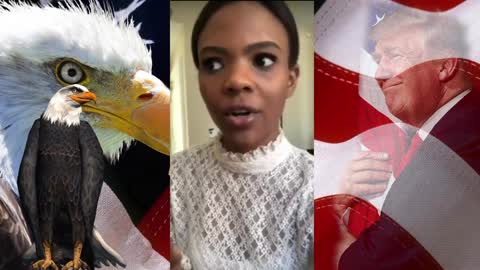 Candace Owens on the Black American Hoax
