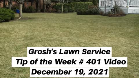 Lawn Care Service Hagerstown MD Treatments