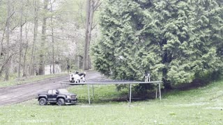 Tribe of Baby Goats Play Together on a Trampoline