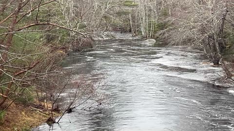 River At Mickey Hill