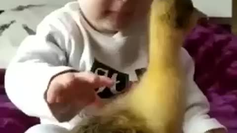 Most Adorable Baby And Smile With Duckling