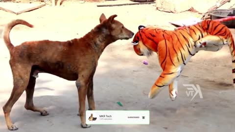 Scare dogs with fake tiger. Prank