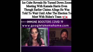 Ice Cube Said No To Meeting With Kamala Harris On Zoom