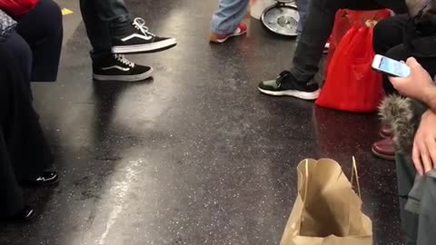 Subway magician pulls out live pigeon from his pocket, loud noise