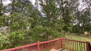 Strong Windstorm Snaps Tall Tree