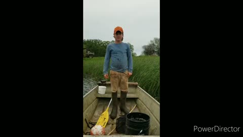 Catching crawfish with a trap
