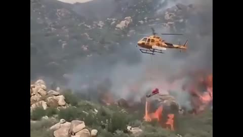 気候変動による森林火災は嘘