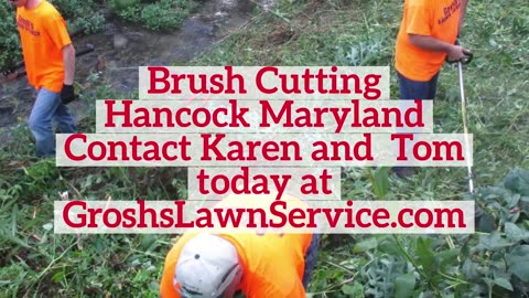 Brush Cutting Hancock Maryland Landscape Company