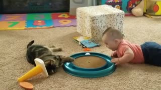 THE CAT IS PLAYING BALL WITH THE BABY