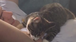 Small cat chews on owners armpit hairs