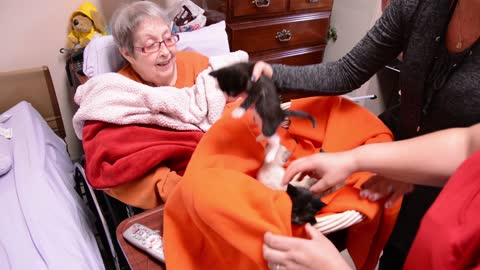 Woman in Hospice gets her dying wish: Basket of precious kittens!