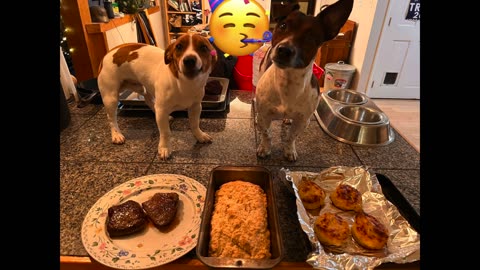 Liberty Bell Moving & Storages Mascot's Blitzen & Yager 🤩 🥰.