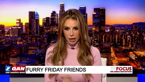 IN FOCUS: Furry Friday and Alison's Inbox - OAN