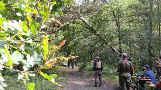 Two Trees Fall During Airsoft Event