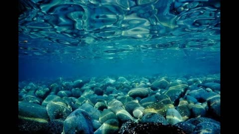 A magnificent underwater world