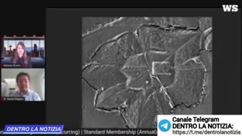 SENSAZIONALE! Dott. Monteverde: Ci stanno avvelenando! Ho fatto analizzare al microscopio ..