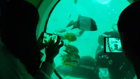 Diver waving outside the submarine