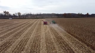 Indiana Corn Harvest