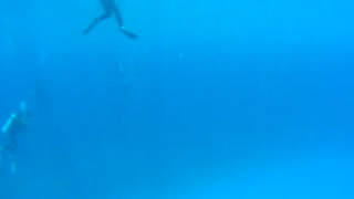 Cancun Mexico Carribean Scuba Diving Part 12