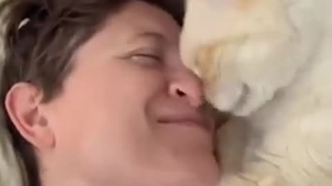 See the love of this cat with its owner.
