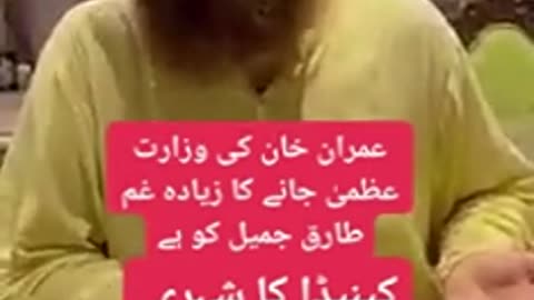 Imran Khan ne hmay kya diya|| Tariq Jameel|| emotional video