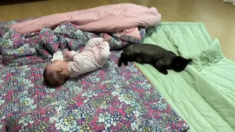 Laying baby and cat.