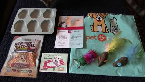 Pet Treater Monthly Mystery Bag for Cats Review - June 2019