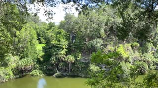 Ocala Zip line