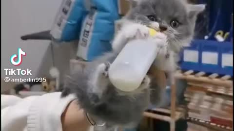 Give my bottle