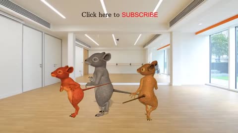 Funny Rat dance